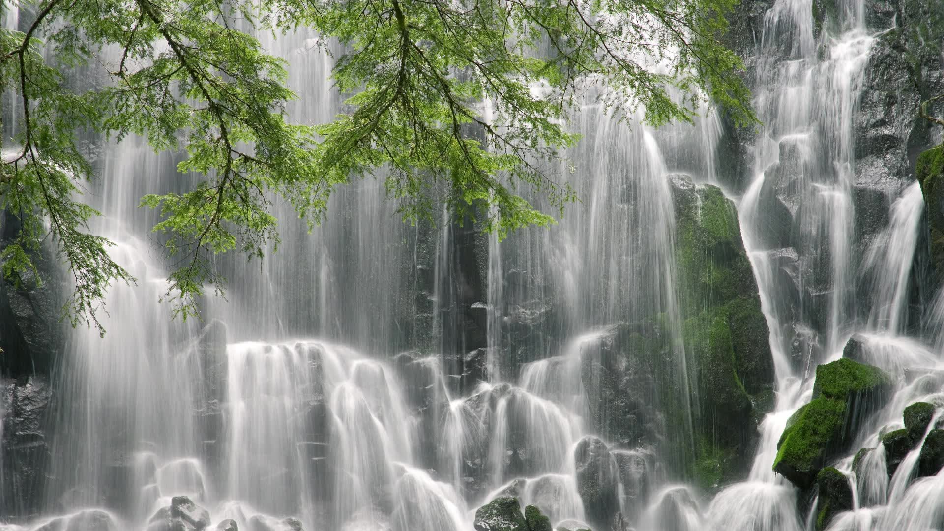 世界橄榄球联赛季中总结：强队表现稳定，世界橄榄球最强的队伍